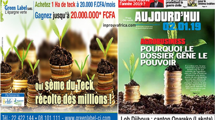 Affaire Agrobusiness en Côte d’Ivoire : attention à ‘’ l’amalgame, Green Label’’ !